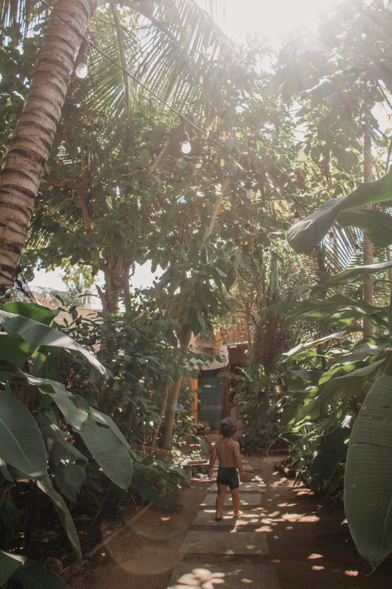 Casa Austera Villa El Paredón Buena Vista Екстериор снимка